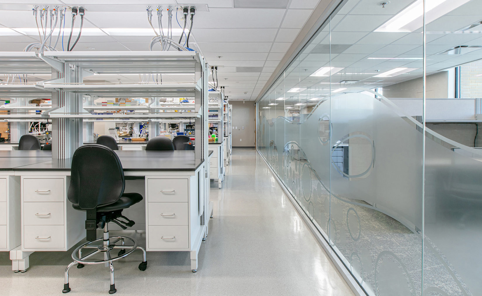 Washington University School of Medicine Cell Biology Lab